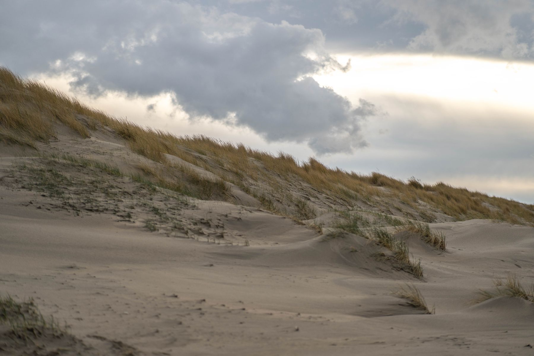 Sand dunes topped with marram grass under a heavy grey sky.